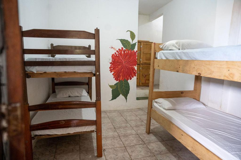 Lahselva Pousada Hostel イタカレ エクステリア 写真