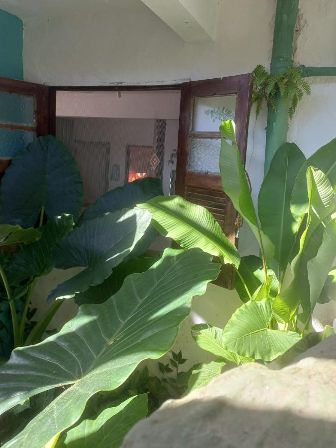 Lahselva Pousada Hostel イタカレ エクステリア 写真