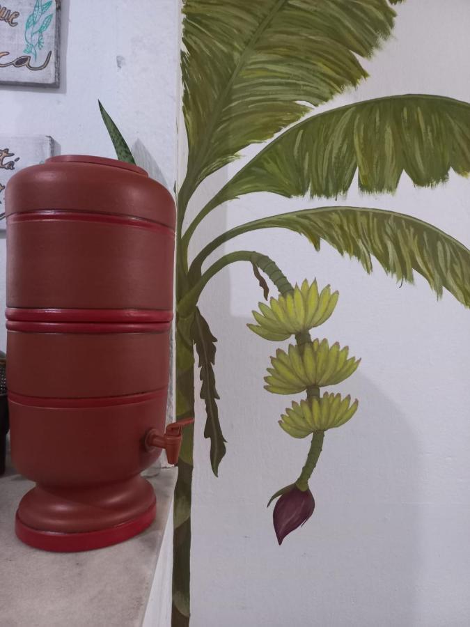 Lahselva Pousada Hostel イタカレ エクステリア 写真