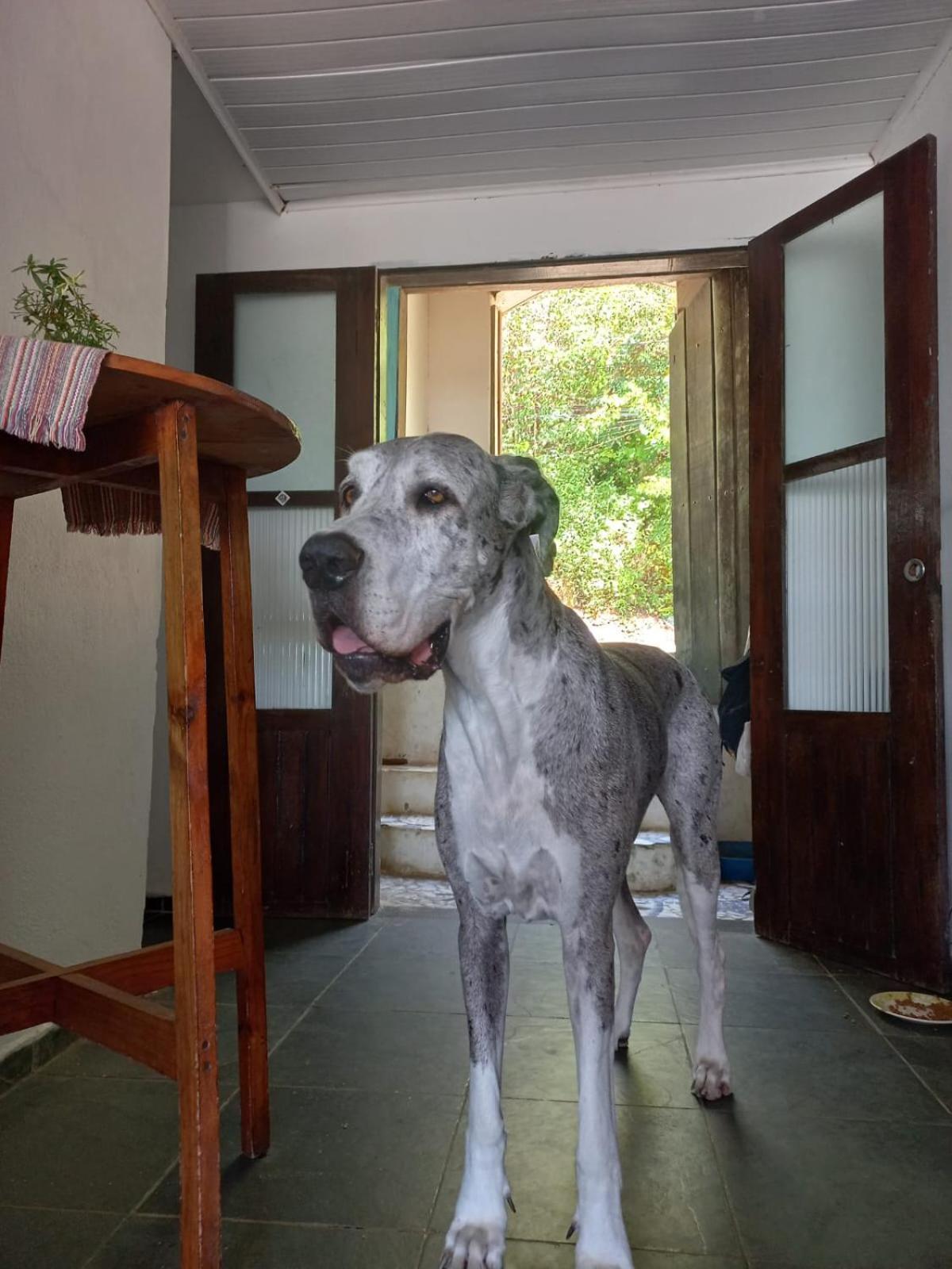 Lahselva Pousada Hostel イタカレ エクステリア 写真